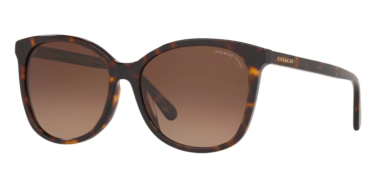 Coach HC8271U L1101 5120/T5 Polarised